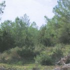 foto 2: landschapsstudie/planontwikkeling