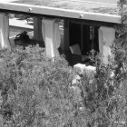 foto 8: landschapsstudie/planontwikkeling